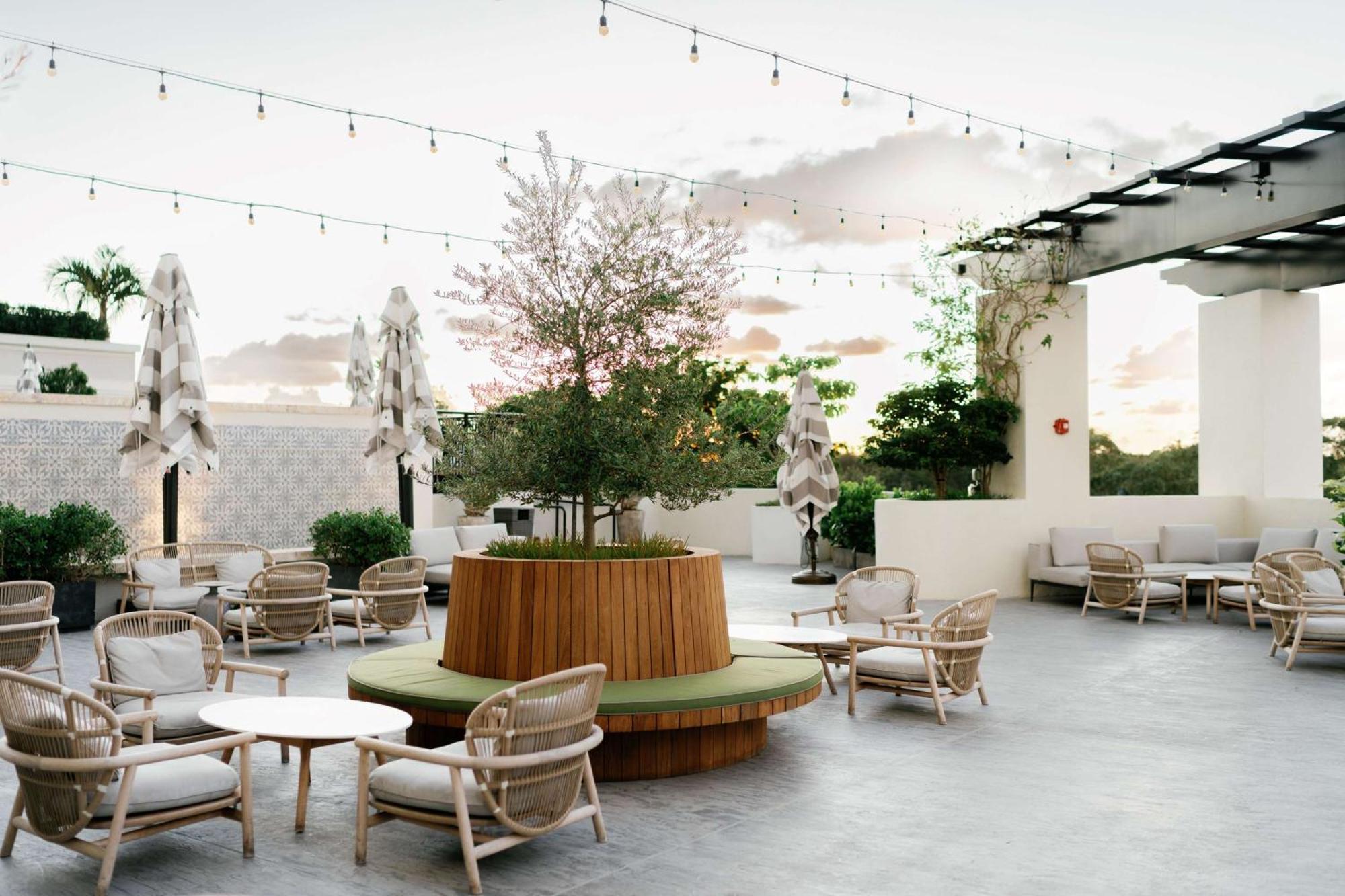Thesis Hotel Miami Coral Gables, Curio Collection By Hilton Eksteriør billede
